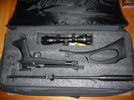 Vendo pistola-carabina marca Diana, co2, con su maletín y embalaje tal como vino de Blackrecon. Con ella 10