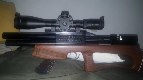Buenas,muy a mi pesar tengo que poner este magnífico equipo en venta compuesto por:
-Carabina lobo hound 02