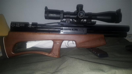 Buenas,muy a mi pesar tengo que poner este magnífico equipo en venta compuesto por:
-Carabina lobo hound 01