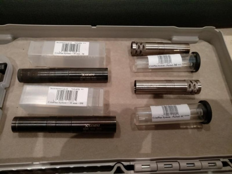 Vendo Benelli Raffaello Black Cal/ 12 cañón 71 cm. Está en un excelente estado, usada solo en 3 vedas. 00