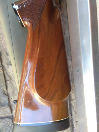 Hola.
Vendo rifle REMINGTON modelo 700 de cerrojo y con cargador extraíble. Es en calibre 7RemMag. Bases 62