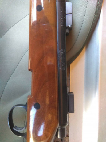 Hola.
Vendo rifle REMINGTON modelo 700 de cerrojo y con cargador extraíble. Es en calibre 7RemMag. Bases 61