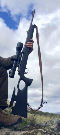 Hola buenas... Vendo el siguiente conjunto. 

•Rifle Sauer 303 Synchro XT ULTRA 338 WM ( gatillo magic 01