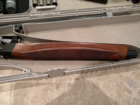Vendo Benelli Raffaello Black Cal/ 12 cañón 71 cm. Está en un excelente estado, usada solo en 3 vedas. 30