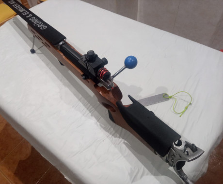 Un amigo del club me pide que ponga a la venta una grunig-elmiger 6br con una precisión excelente doy 12