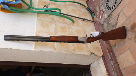 Muy buenas compañeros, hace poco me hice de algunas armas de las que se la marca pero no el modelo, me 11