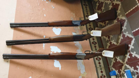 Muy buenas compañeros, hace poco me hice de algunas armas de las que se la marca pero no el modelo, me 10