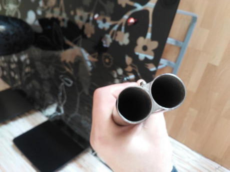 Buenas tardes,
Hacia tiempo que queria una escopeta de perrillos y aprovechando la subasta de armas me 101
