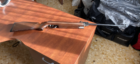 Hola buenos  días 
Vendo dos carabinas de aire una Gamo y una Norica.....las dos 150 euros ( portes a 01