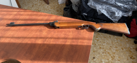 Hola buenos  días 
Vendo dos carabinas de aire una Gamo y una Norica.....las dos 150 euros ( portes a 00