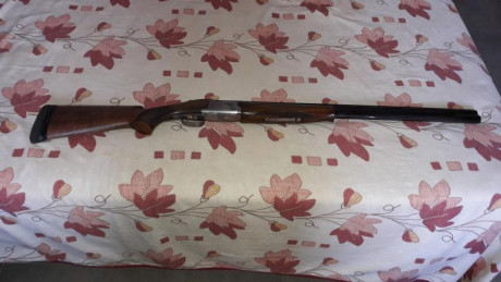 RETIRAR DE LA VENTA

Vendo escopeta superpuesta Browning Ultra XS. Esta como nueva. Se ha usado muy poco. 12
