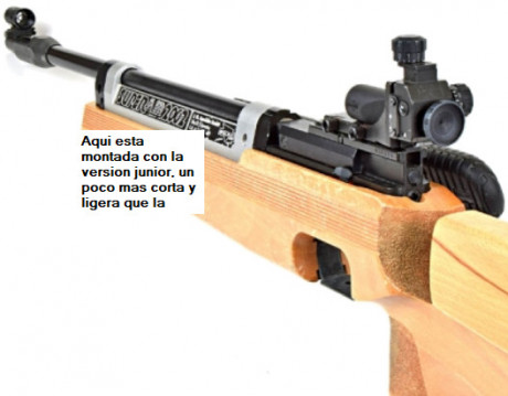 Se trata de una carabina superconocida en el mundo de la competicion a 10 metros. Se encuentra en un estado 12