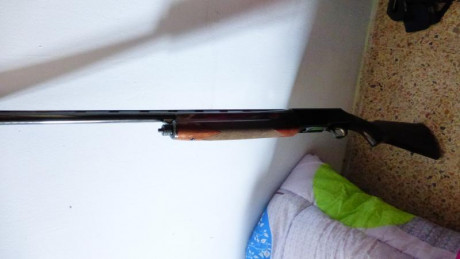 VENDO ESCOPETA AUTOMATICA MODELO B 80
FUNCIONA PERFECTAMENTE.
 POR 350 EUROS


TELF 629955526 SOY DE BARCELONA 00