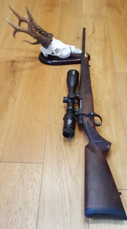 Hola.
Pongo a la venta el siguiente equipo:
Rifle Sako 85 mod Hunter calibre 222.
Monturas Sako Optilock
Visor 60