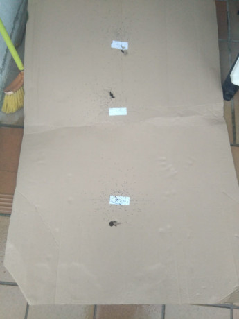 Hola a todos:

Quiero iniciarme en el Tiro al plato y no quiero gastar mucho en la compra de la escopeta.

Me 60