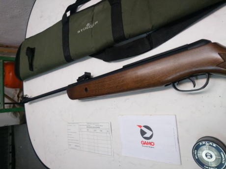 Vendo carabina de aire comprimido Gamo Hunter 440 del calibre 5,5 en muy buen estado. Sin óxidos y muy 01
