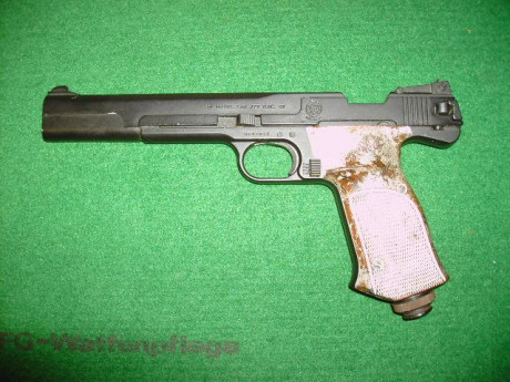 Buenos días.
Tengo una pistola S&W 79G cuyas cachas de material plástico, se vuelven blanquecinas 00