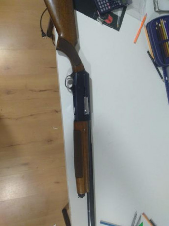 Hola tengo posibilidad de conseguir cualquiera de estas 2 armas y querría saber cual de ellas me dará 30