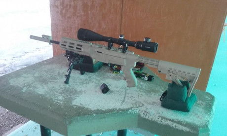 Tengo la intención de comprarme una de estas carabinas del 22 LR, en plan diversión, y gatillar sin arruinarme, 10