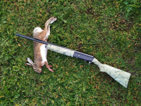 Vendo paralela y repetidora franchi llama con hidroimpresion,no se encasquilla..
También cambio las dos 00