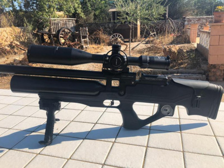 pues eso un amigo me pide que Le ponga a la venta este bullpup con posibilidad de dos Calibres intercambiables 11