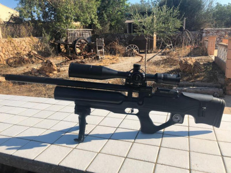 pues eso un amigo me pide que Le ponga a la venta este bullpup con posibilidad de dos Calibres intercambiables 10