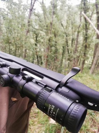 Hola dispongo de un mannlicher pro hunter calibre 308,monturas leupold qr y visor zeiss diavari victory 01