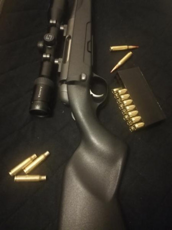 Hola dispongo de un mannlicher pro hunter calibre 308,monturas leupold qr y visor zeiss diavari victory 00