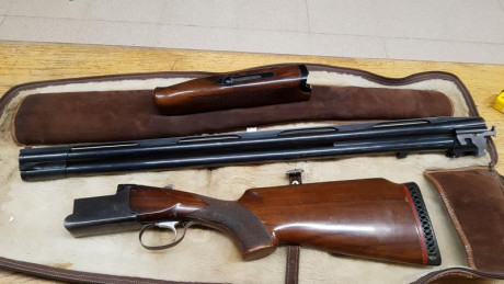 Hola compañeros, me han regalado una escopeta franchi sporting, con 73 de cañon y un tipo de chokes algo 02