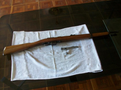 En Madrid, vendo carabina Destroyer, calibre 9 largo, impecable estado, con manual de instrucciones. 175 02