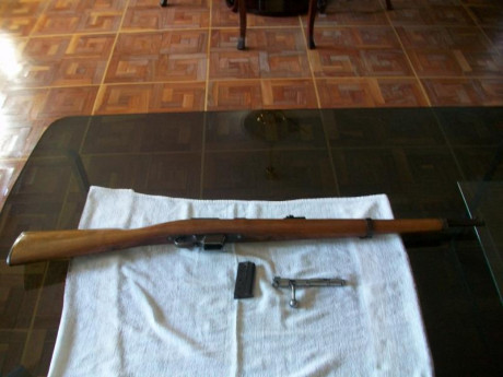 En Madrid, vendo carabina Destroyer, calibre 9 largo, impecable estado, con manual de instrucciones. 175 01