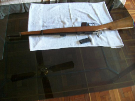 En Madrid, vendo carabina Destroyer, calibre 9 largo, impecable estado, con manual de instrucciones. 175 00