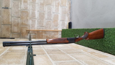 Hola compañeros, me han regalado una escopeta franchi sporting, con 73 de cañon y un tipo de chokes algo 52