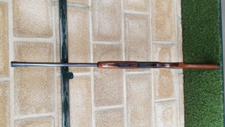 Hola compañeros, me han regalado una escopeta franchi sporting, con 73 de cañon y un tipo de chokes algo 50
