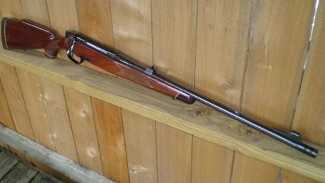 Estimados miembros del Foro. 
Estoy buscando unas bases warne para un Steyr Mannlicher S/T del 458.
Es 00