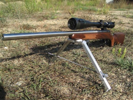 Hola. me gustaria saber la opinion de algun compañero que la tenga o sepa algo de esta carabina, he visto 22