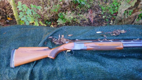 Un compañero de caza vende una escopeta Browning B25 del año 1970 con 71cm de cañón, con una y tres estrellas, 01