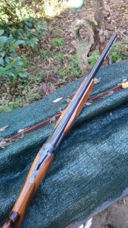 Un compañero de caza vende una escopeta Browning B25 del año 1970 con 71cm de cañón, con una y tres estrellas, 10