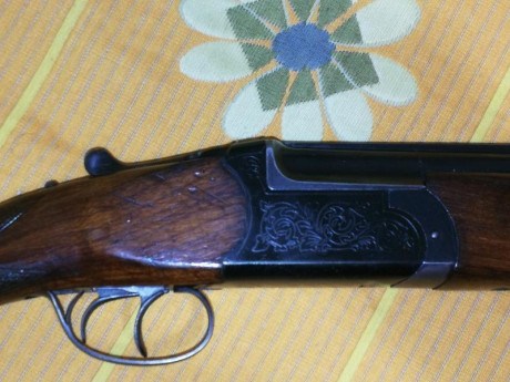Muy buenas.
Vendo precio a convenir o mejor cambiaria una superpuesta de las fabricadas y acero como las 00