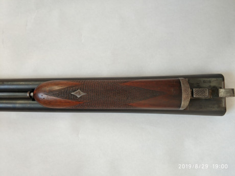 Hola. Vendo escopeta paralela F. Sarriugarte calibre 12. Tiene muchos años a cuestas, pero esta en uso.
Precio: 12