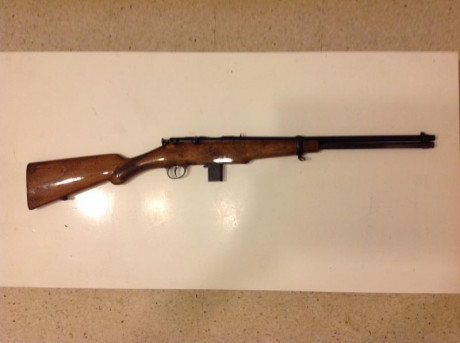 Vendo o cambio por rifle, carabina Onena del 9 Largo en buen estado.
Precio 300 gastos por cuenta del 02