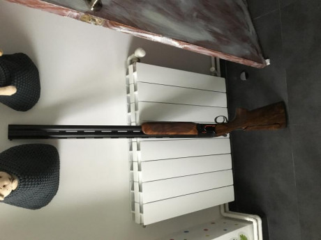 Hola, pues vendo mi Beretta 690 Black Edition Trap de zurdo. Tiene culata B-Fast, cañón de 76cm y 1*/2*. 10