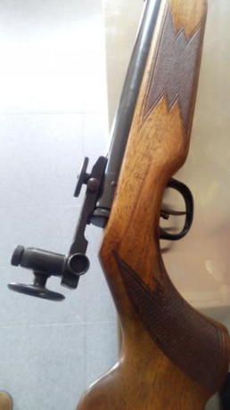 Acabo de adquirir esta carabina a un  compañero de tiro,esta impecable a pesar de los años que tiene,alguno 22