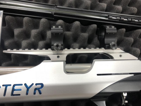 VENDO SYEYR LG-110 Field Target
Vendo por no usar y por lo tanto está prácticamente con poquísimo uso, 22