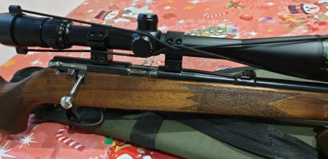 Carabina Anschutz muy precisa con visor Buschnell Elite 6-24/40 made in Japan, se puede ver y probar en 00