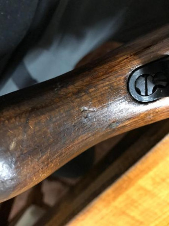 Saludos foreros, después de un año de búsqueda al fin he cumplido el sueño de hacerme con un Mauser K98 21