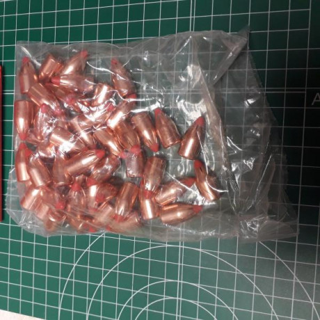Vendo 50 puntas balas Hornady FTX calibre .45 (.452) de 250 grains 
Precio 31 euros 
Gastos de envío a 00