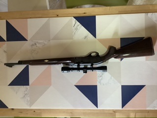 Vendo carabina Remington Nylon 66, con visor 4x32, suficiente para este arma.
El arma se encuentra en 11