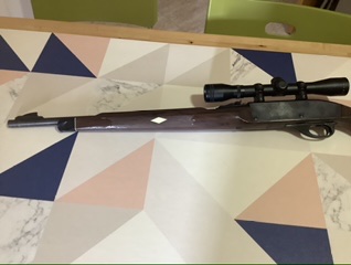 Vendo carabina Remington Nylon 66, con visor 4x32, suficiente para este arma.
El arma se encuentra en 10