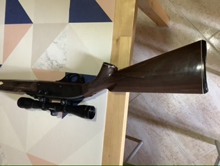 Vendo carabina Remington Nylon 66, con visor 4x32, suficiente para este arma.
El arma se encuentra en 20